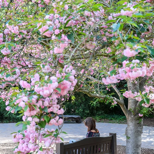 Descanso Gardens - Photo Locations in La Cañada Flintridge