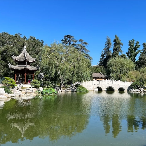 Huntington Library Gardens - Photo Locations in San Marino
