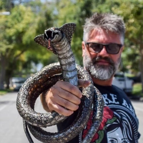 Tro Khayalian - Artist in Los Angeles