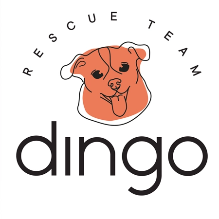 Dingo Team