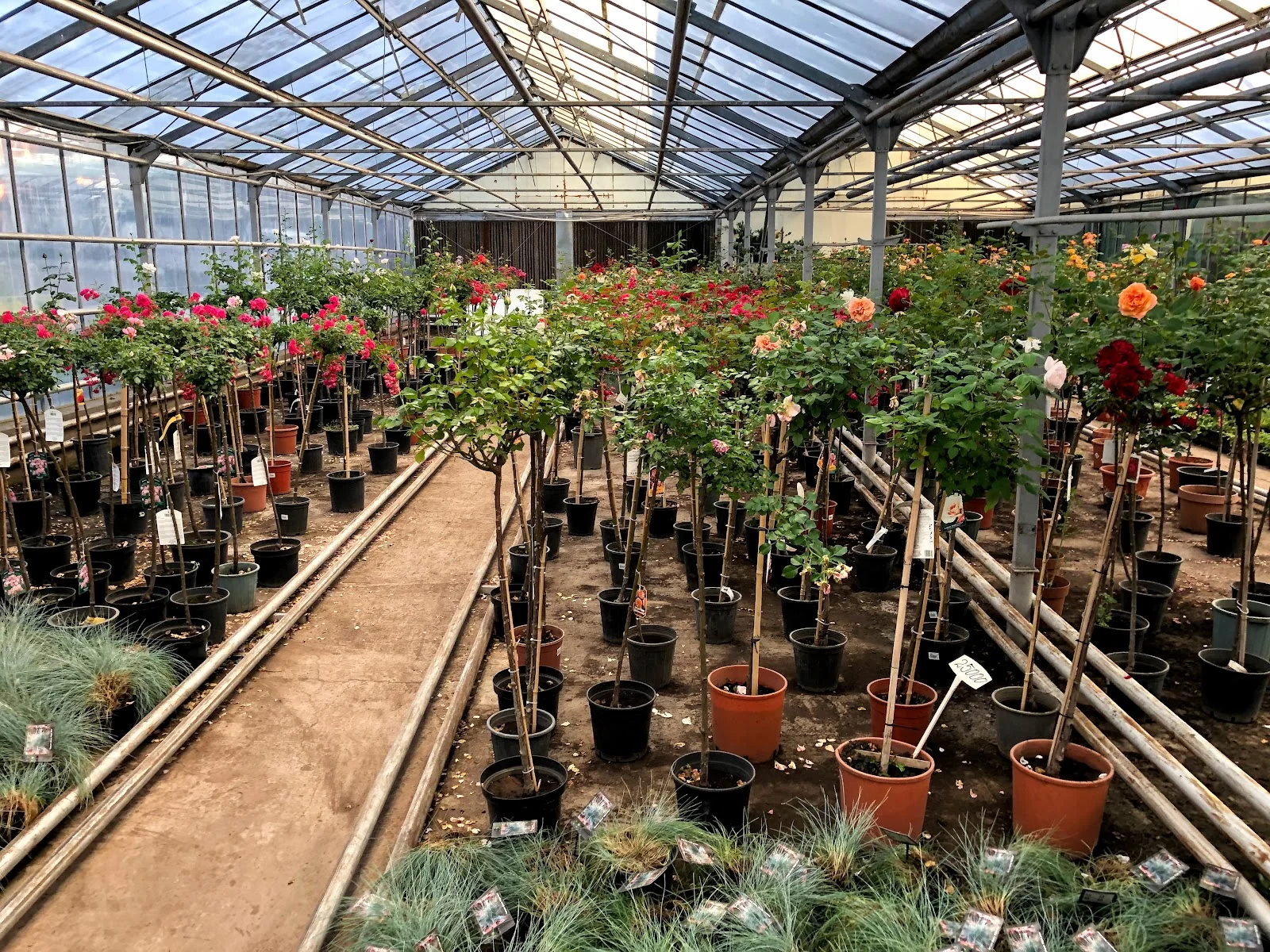 Grig Garden