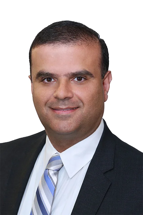Levon Leo Yengibaryan - Real Estate & Realtors in Glendale