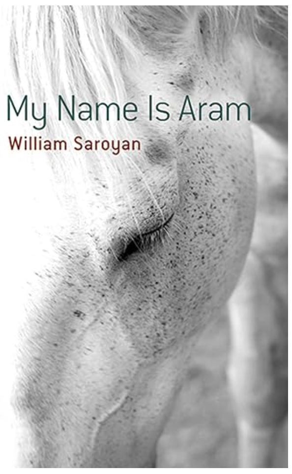 My Name Is Aram book cover