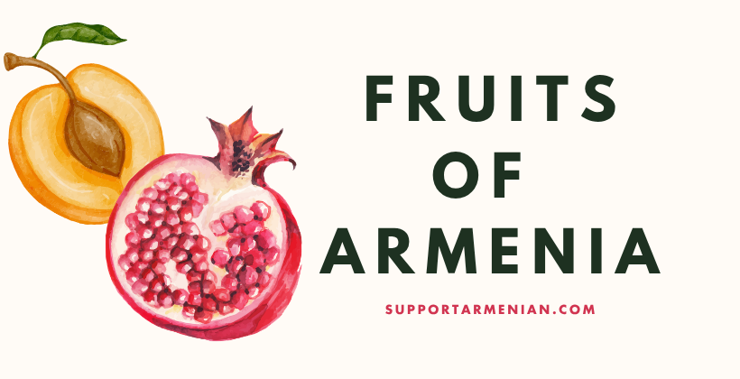 Fruits of Armenia — the apricot and pomegranate
